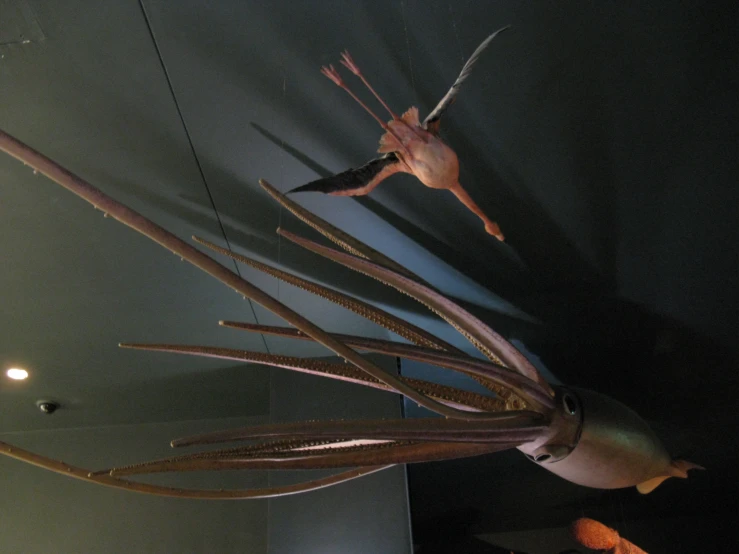 a large octo head hangs above an exhibit