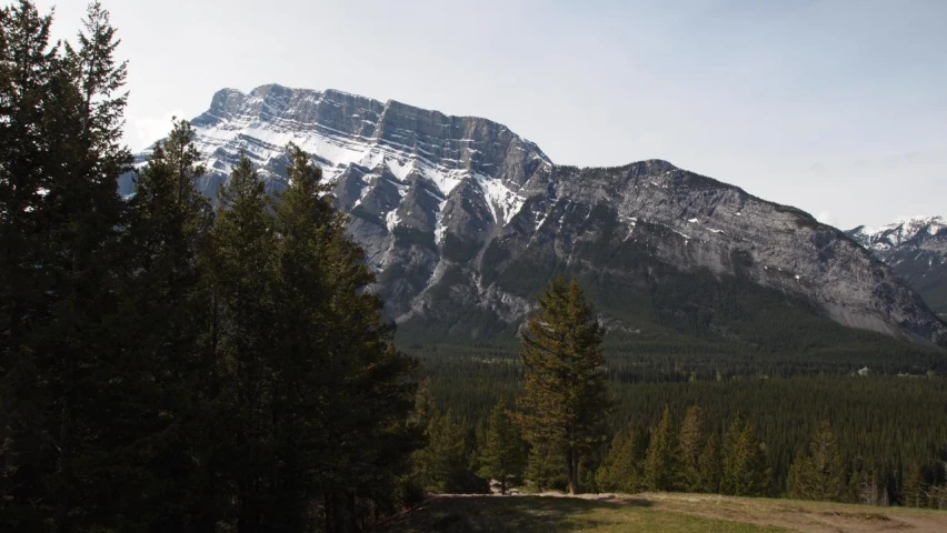 mountains rise behind a grassy field and a forest