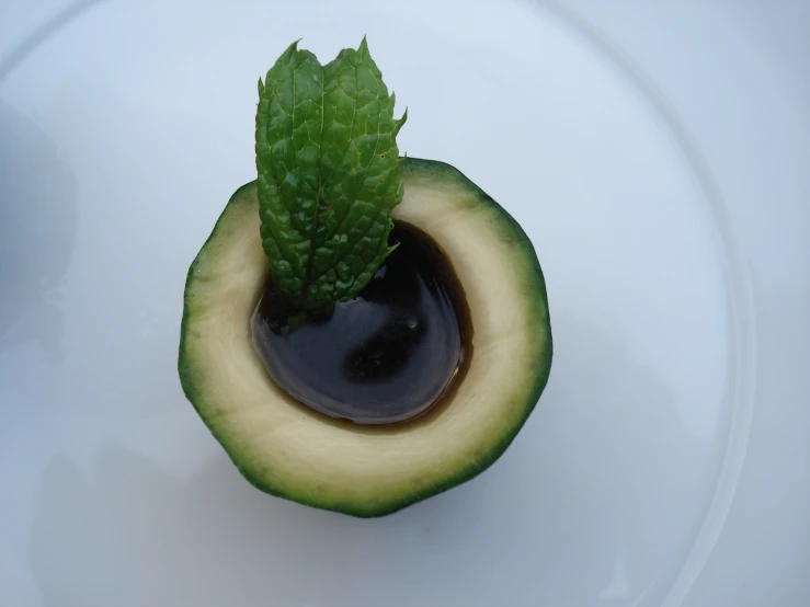 there is a avocado with some leaf in it