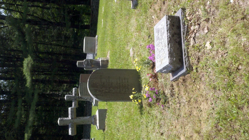 cemetery of headstones in front of wooded background