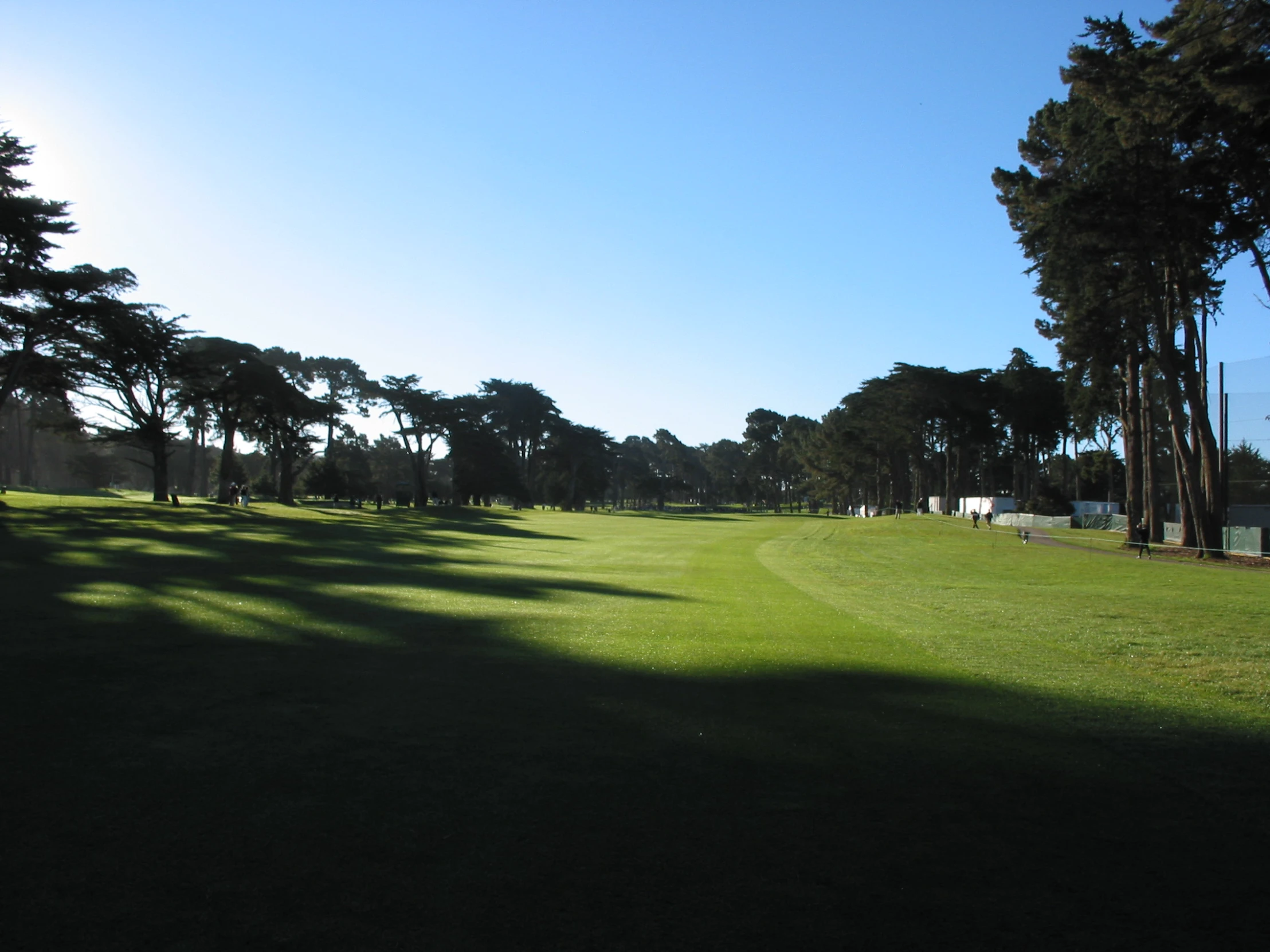 park lined with lots of green grass, and palm trees