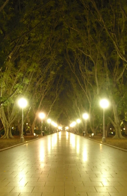 a sidewalk that has some lights on it