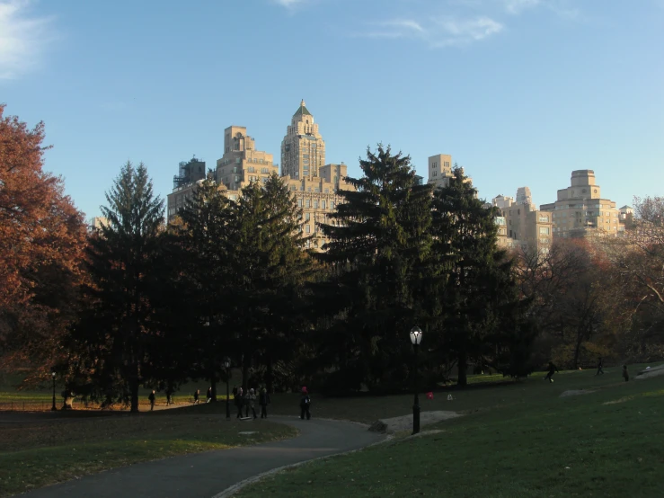 a picture of the top of a tall building that is surrounded by trees