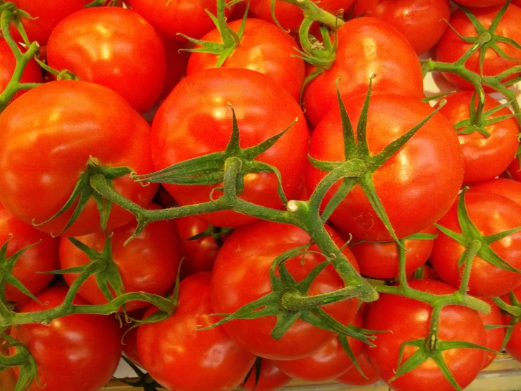 the large bunch of red tomatoes are sitting on the table