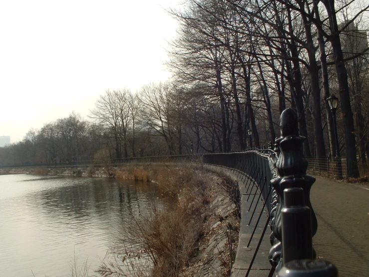 a fence along a river that has a path lined with trees