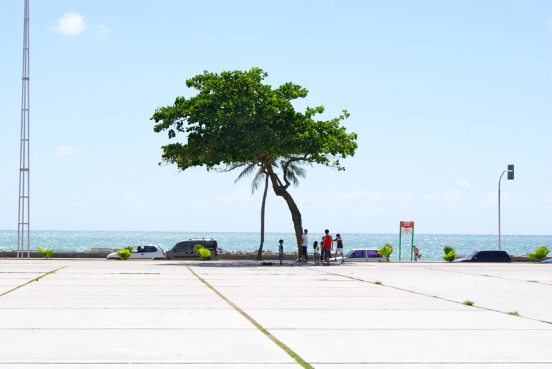 two people are standing by a tree on the beach