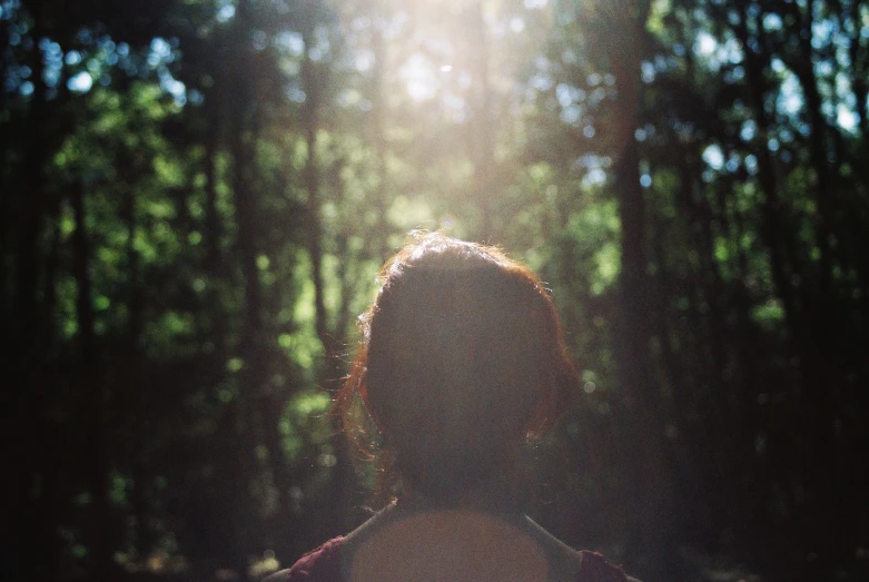 the back of a woman's head as she stands in the sunlight by trees