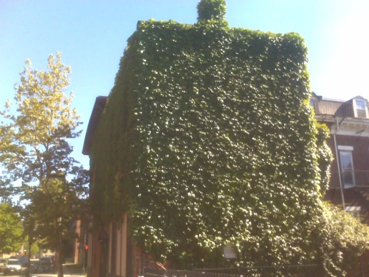 an ivy covered building next to the road
