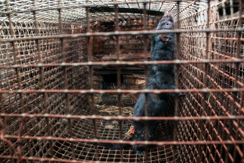 a man in black clothes sitting inside of a caged area