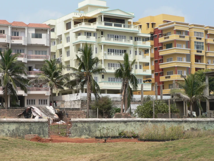 some buildings sitting in front of a pool near a tree