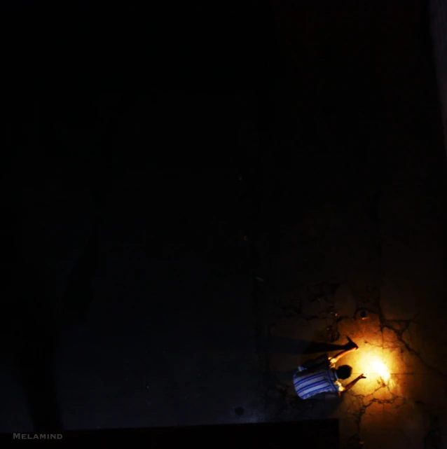 a dark street light in the street and a small bird at night