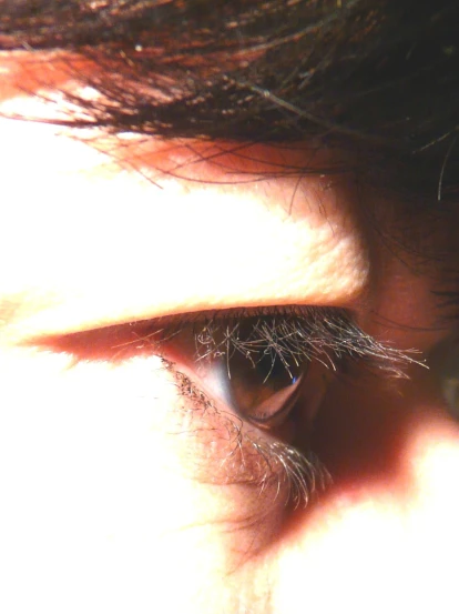 closeup view of the eye and eyebrows of a person