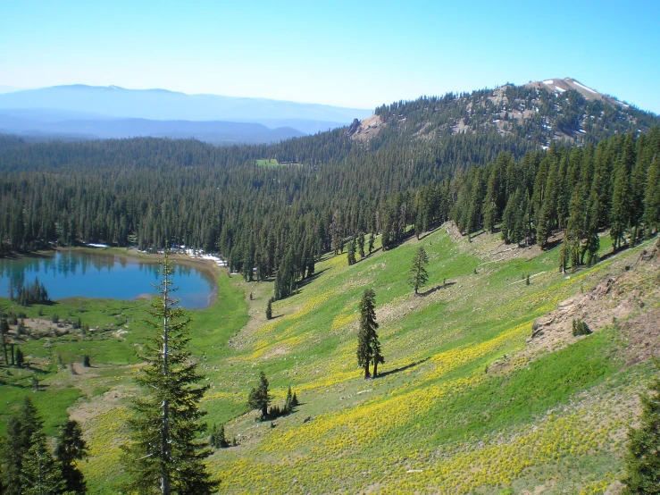 there is a small lake in the middle of a large field