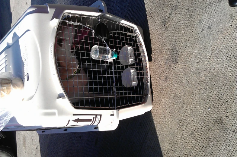 a white cat cage with an orange collar sitting on top of it