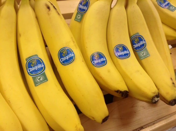 several bunches of bananas are hanging from the shelves