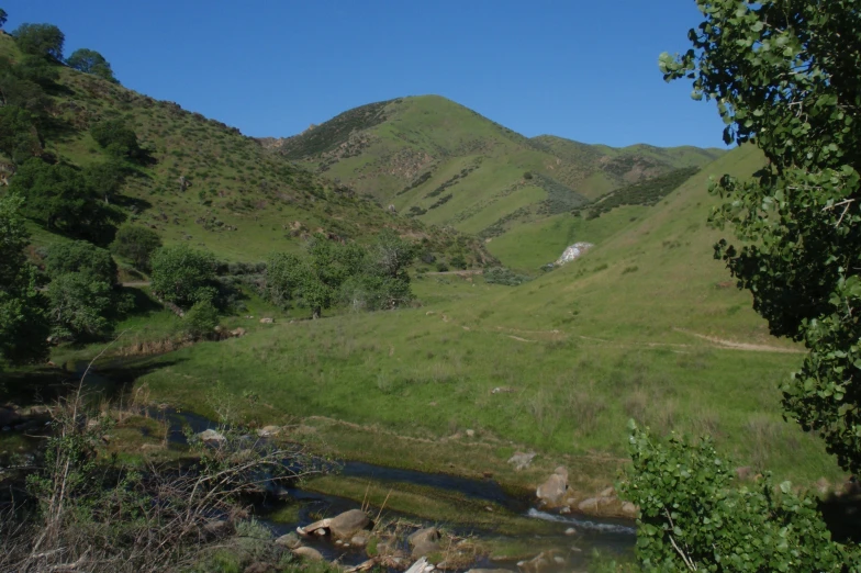 the view of a grassy hillside with creek running through it