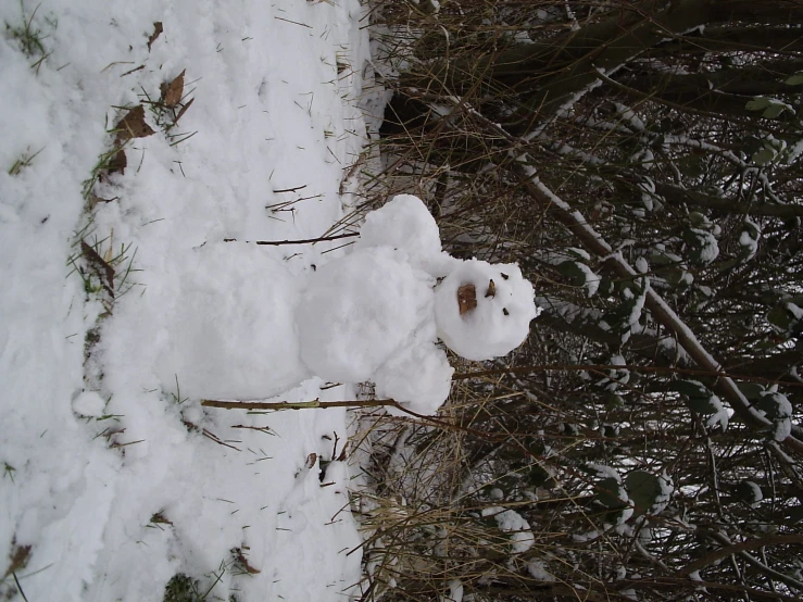 a snow man is standing in the snow