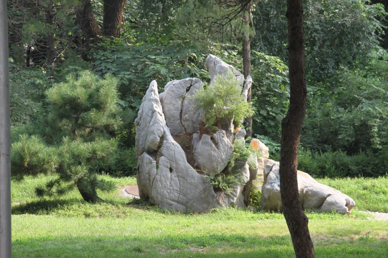 two giraffes are standing in a field behind some large rocks