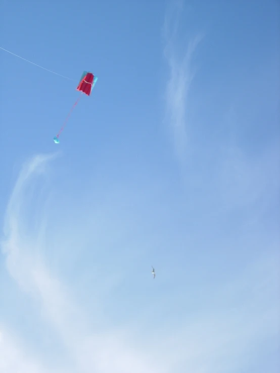 a group of people flying a kite together