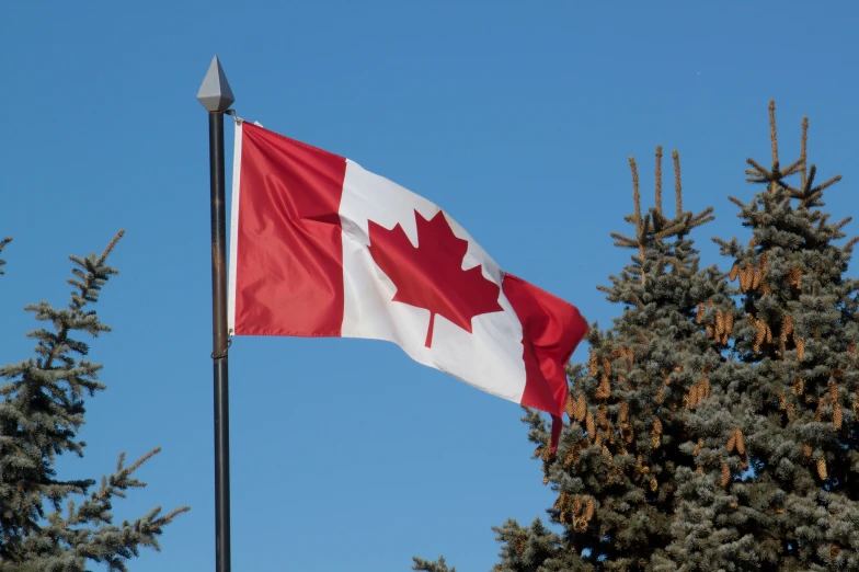 canadian flag flying in the wind from the outside