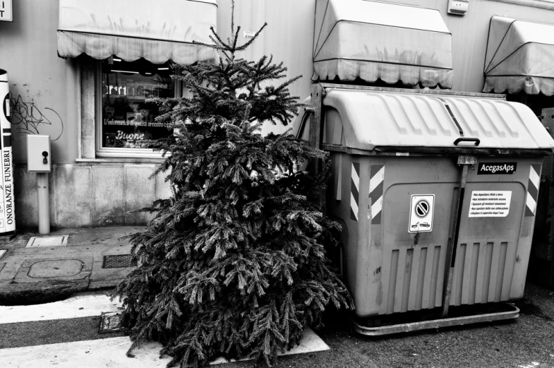 a garbage can next to a tree in front of a store