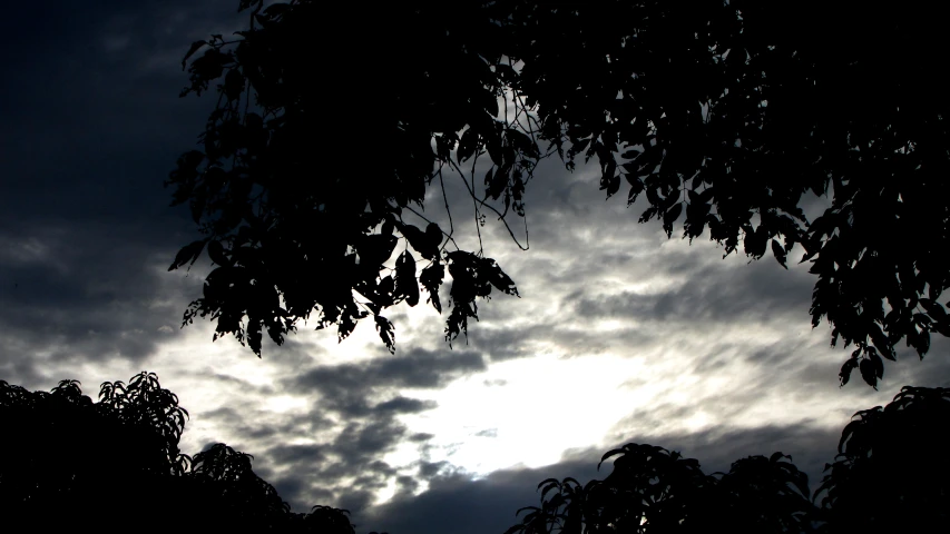 a dark sky filled with clouds above trees