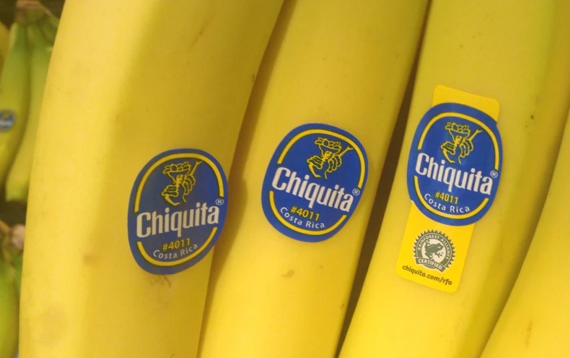 bunches of bananas with stickers on them for sale