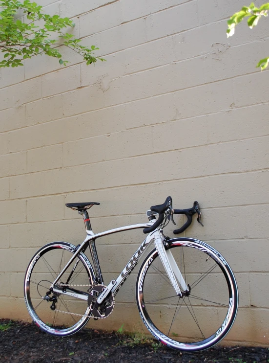 this is a po of a bicycle leaning against the side of a building