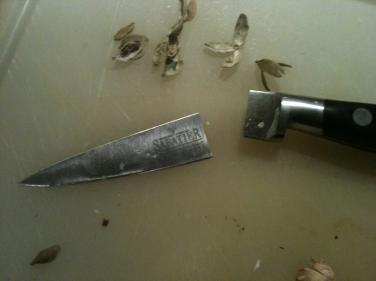 several dead flowers lay on a white surface next to a sharp knife