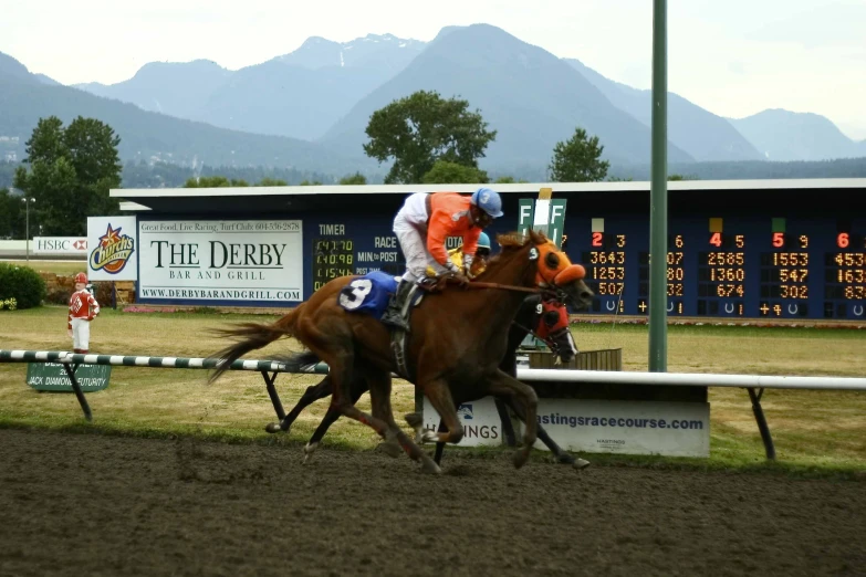 two men in orange vests race horses