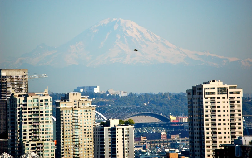 a city with tall buildings and a very snowy mountain behind