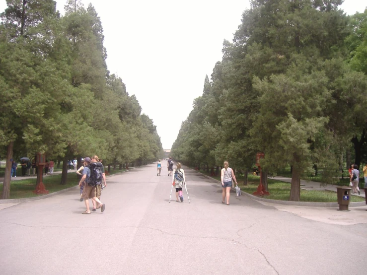 a group of people walk down a road near trees