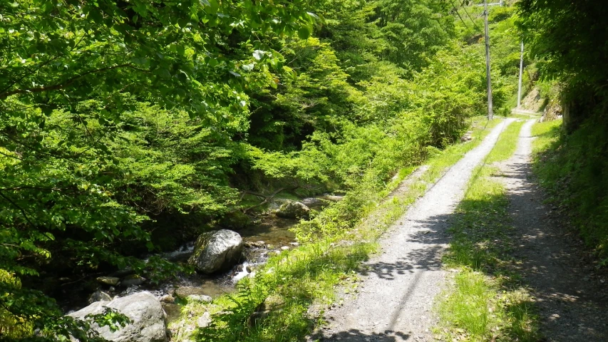 a narrow dirt road near some trees on the side of the road