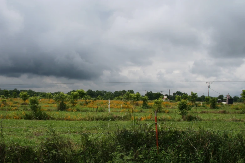 a field of green grass under a cloudy sky