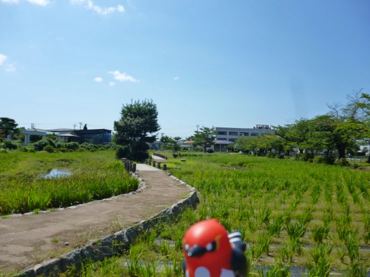 someone is on a path by the lake