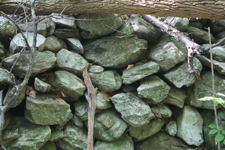 a pile of rock rocks under a large tree trunk