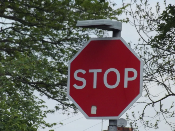 the street sign says stop next to some trees