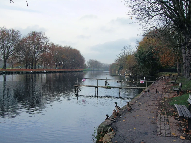 the park is next to a lake in autumn