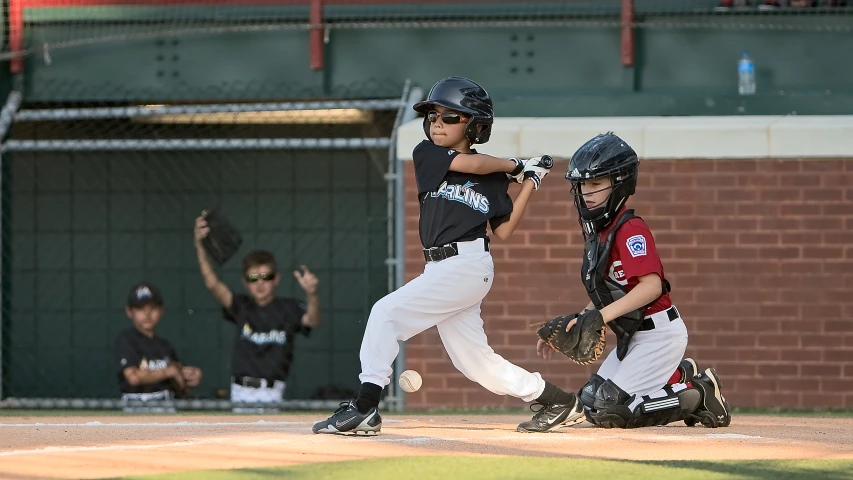 young baseball players and children on a field