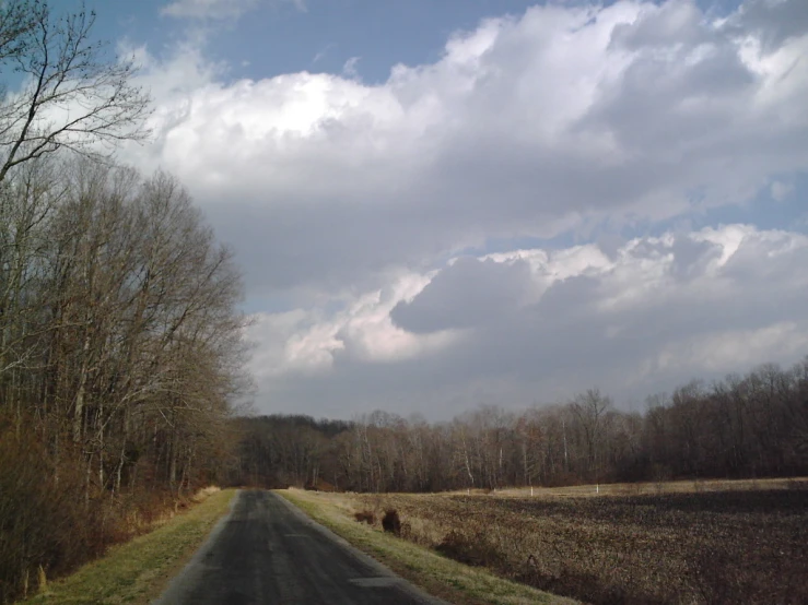 a road with trees in the middle and clouds in the sky