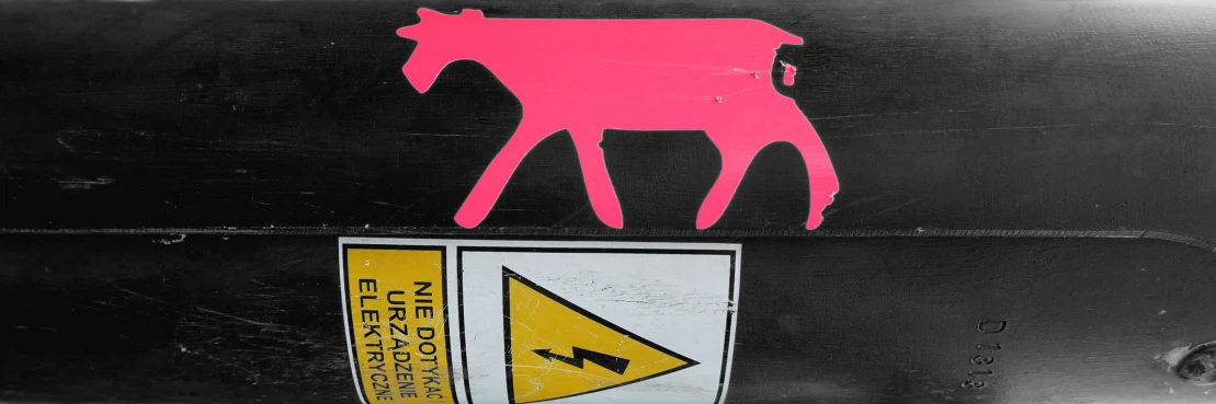 a sticker on the side of a car with a pink cow