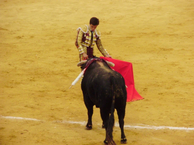 a bull with a rider around it's neck is standing in the dirt