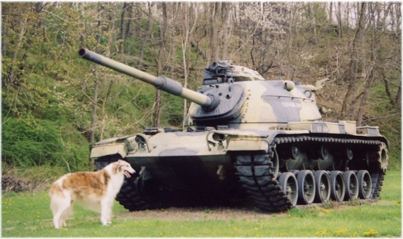 dog standing next to large military tank in open field