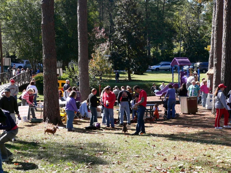 the large group of people are gathering for picnic