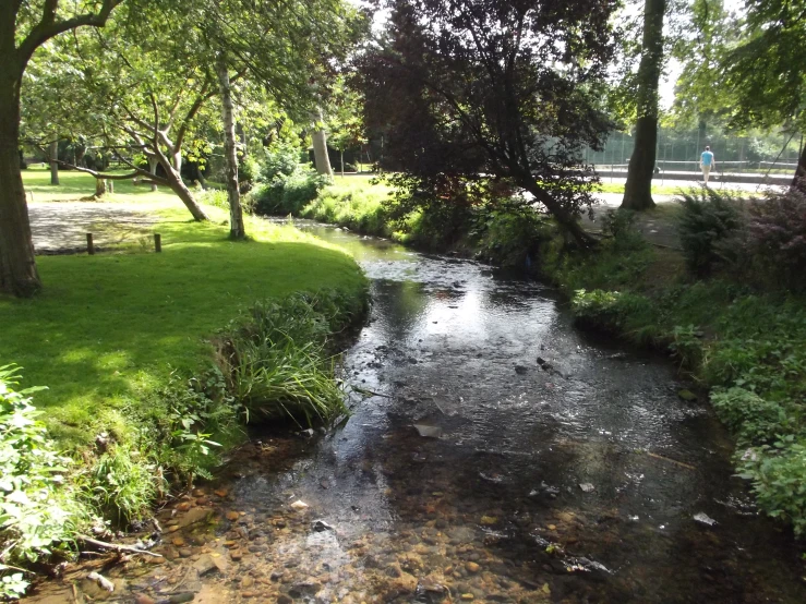 an outdoor stream and park in the summer sun