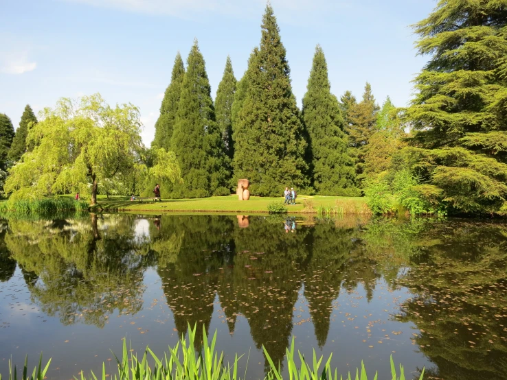 a pond surrounded by tall green trees next to a forest