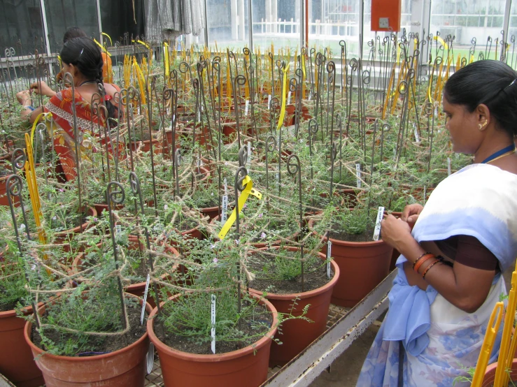 a woman is walking near potted plants