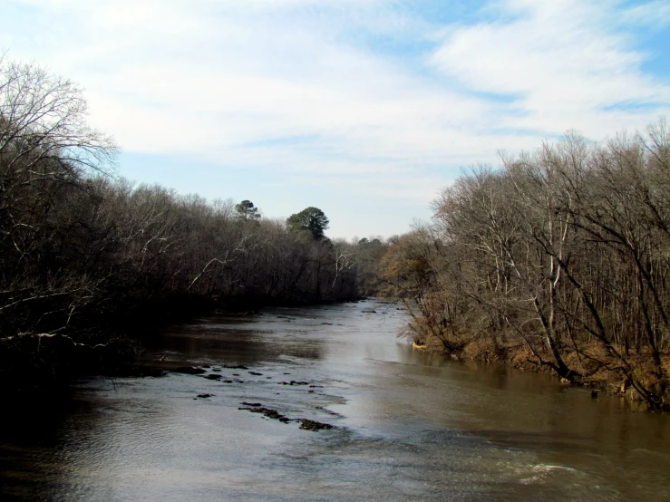 the water is very thin and brown during winter