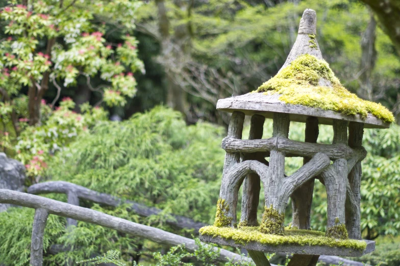 the bird house is covered in moss with many hooks