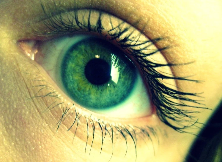 an eye with long eyelashes is close up